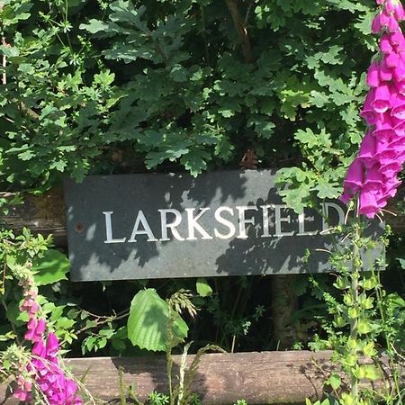 Larksfield Loft Appartement Okehampton Buitenkant foto